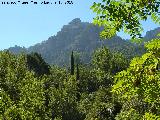 Cerro de la Laguna. Desde el Ro Cerezuelo