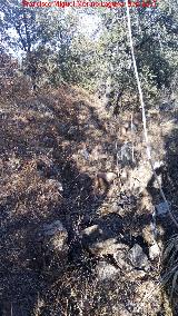 Trincheras del Cerro de las Trincheras. 