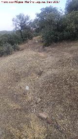 Trincheras del Cerro de las Trincheras. 