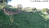 Oppidum del Cerro de Santa Catalina. Muralla