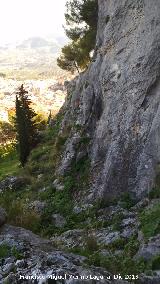 Cerro de Santa Catalina. Paredes rocosas de la ladera norte