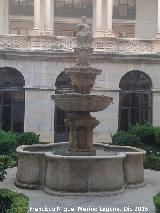 Fuente de Diputacin. 