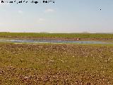 Laguna de los Perales. En sequa