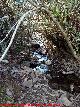 Arroyo de la Parrilla