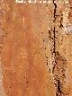 Pinturas rupestres del Abrigo de la Cueva del Santo Grupo II