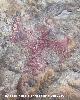 Pinturas rupestres de la Cueva de los Herreros Grupo XII