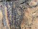 Pinturas rupestres de la Cueva de los Soles Abside VI