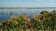 Laguna Dulce