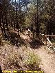 Sendero del Pecho de la Fuente y Cueva Palomera