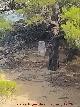 Moj�n de la Quebrada