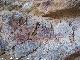 Pinturas rupestres de la Cueva del Plato grupo V