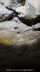 Araa caverncola - Meta bourneti. Cueva de la Virgen - Castillo de Locubn