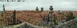 Salamanca. Desde la Catedral
