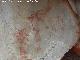 Pinturas rupestres del Abrigo de los rganos I