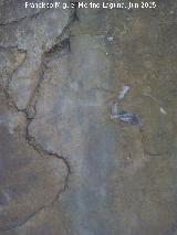 Pinturas rupestres del Barranco de la Cueva Grupo I. 