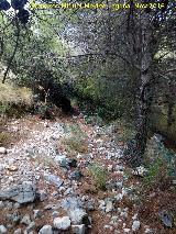 Aznaitn. Camino de las Cuevas del Curro