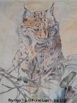 Lince ibrico - Lynx pardinus. Dibujo de Isabel Laguna Lpez
