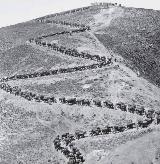 Cargas de abastecimiento de una posición española con mulas Guerra del Riff. Cargas de abastecimiento de una posición española con mulas