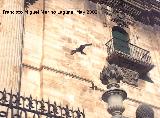 Pjaro Halcn peregrino - Falco peregrinus. Volando junto a la Catedral de Jan.