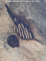 Abeja - Apis mellifica. Colmena natural en un abrigo del Ro Bailn - Zuheros