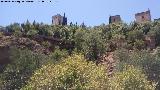 Murallas de Granada. Muralla que baja de la Alhambra en su vertiente norte