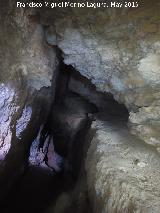 Cueva del Plato. Interior