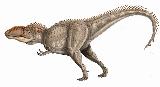 Giganotosaurio - Giganotosaurus carolinii. 