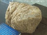 Rocual - Balaenoptera physalus. Fragmento de vrtebra de rocual utilizada como mesa de despiece de pescado. poca tardorromana finales del siglo V - principios del siglo VI d.C. C/San Nicolas 3-5 Algeciras