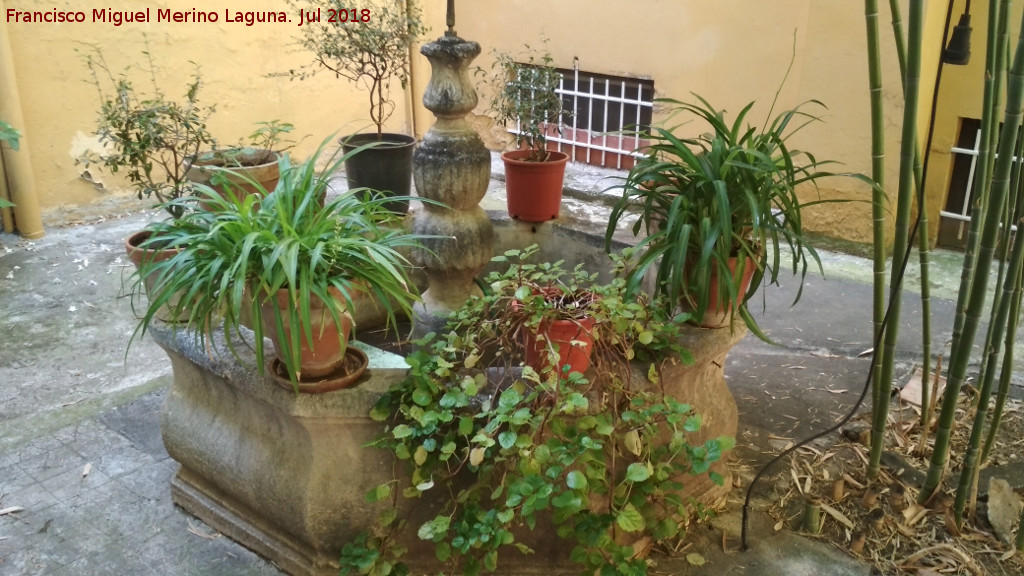 Palacio de los Cobaleda Nicuesa - Palacio de los Cobaleda Nicuesa. Fuente del patio trasero