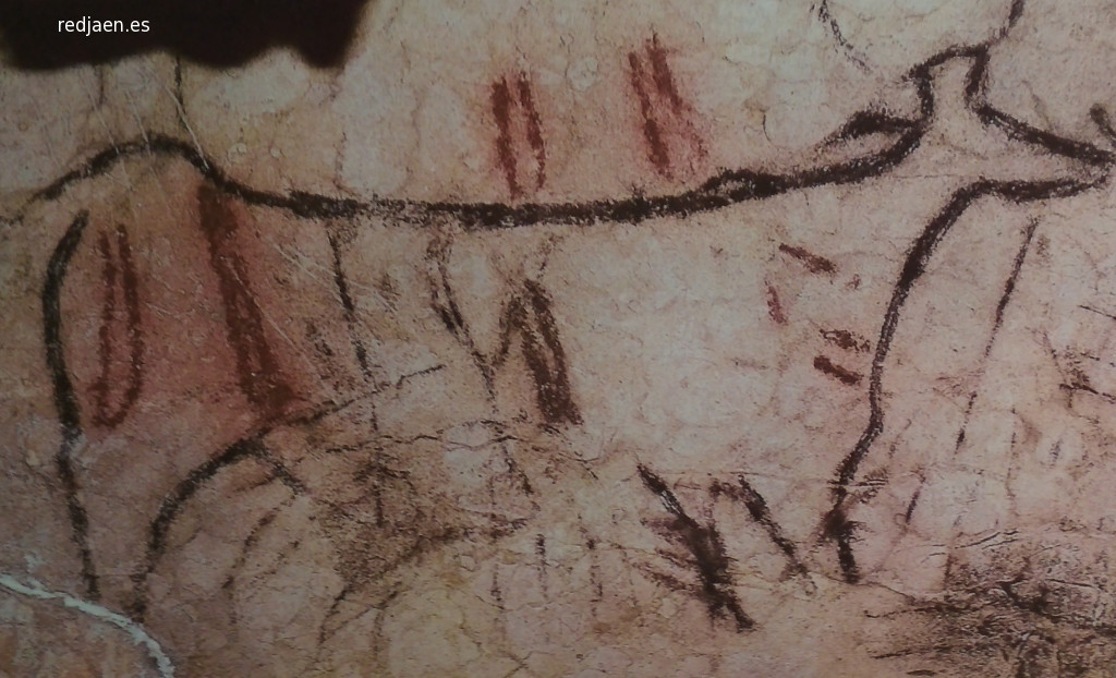 Pinturas rupestres de la Cueva de la Pileta - Pinturas rupestres de la Cueva de la Pileta. Uro fechado 20.130 a.C.