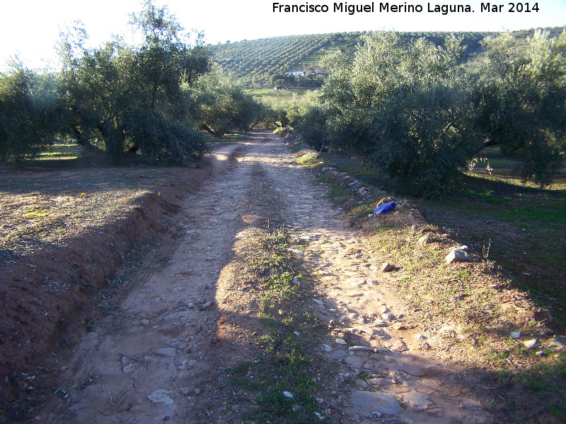 Calzada de la Sierra - Calzada de la Sierra. Empedrado