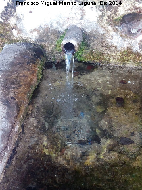 Fuente de La Hueta - Fuente de La Hueta. Cao