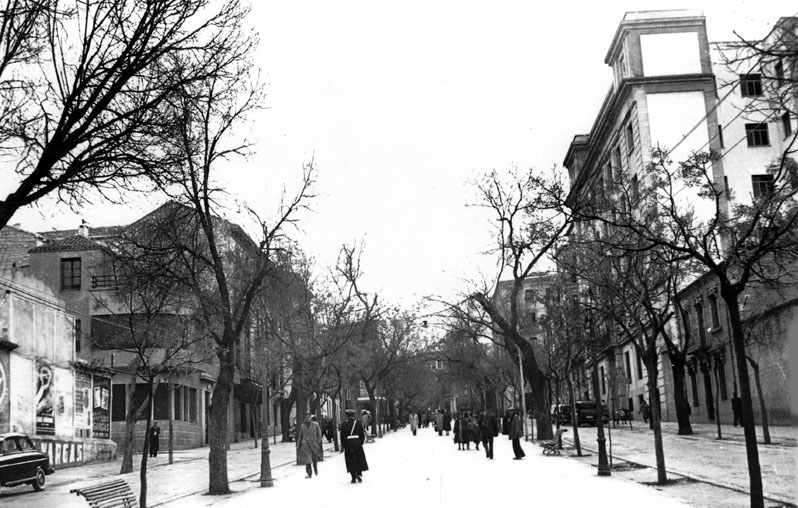 Paseo de la Estacin - Paseo de la Estacin. 