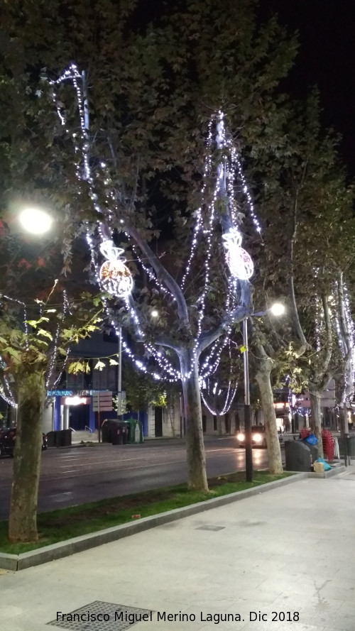 Paseo de la Estacin - Paseo de la Estacin. Iluminacin navidea