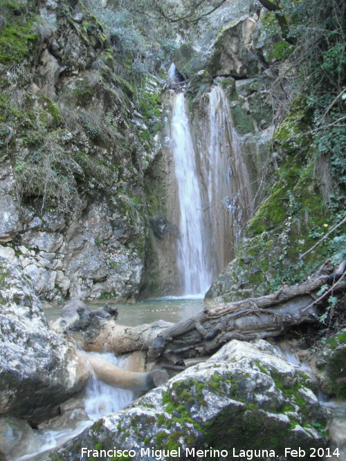 Cascada del Arroyo de la Cueva - Cascada del Arroyo de la Cueva. 