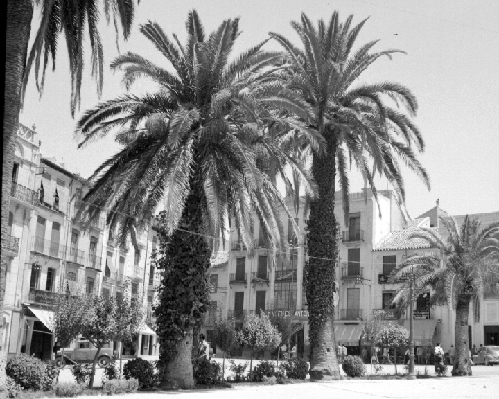 Plaza de la Constitucin - Plaza de la Constitucin. Foto antigua