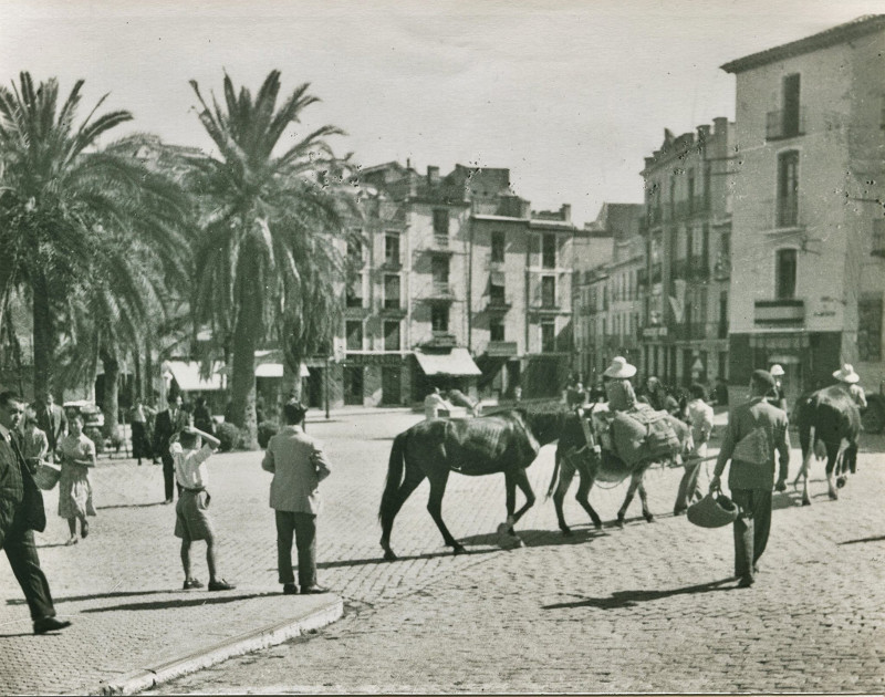 Plaza de la Constitucin - Plaza de la Constitucin. Foto antigua. Archivo IEG