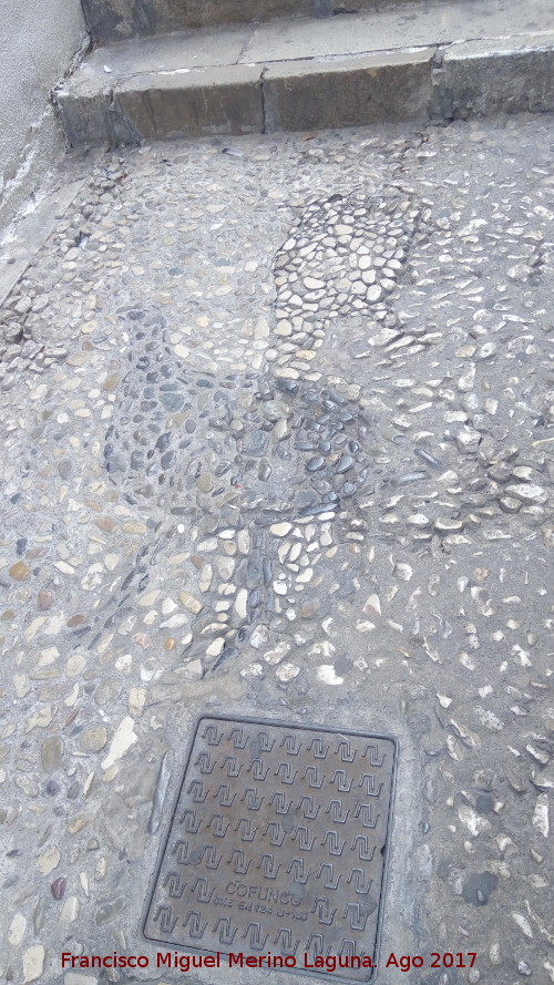 Calle Francisco Martn Mora - Calle Francisco Martn Mora. Mosaico de un pjaro