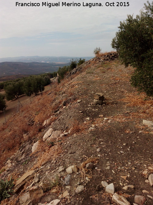 Torreparedones. Muralla - Torreparedones. Muralla. Muralla sin excavar