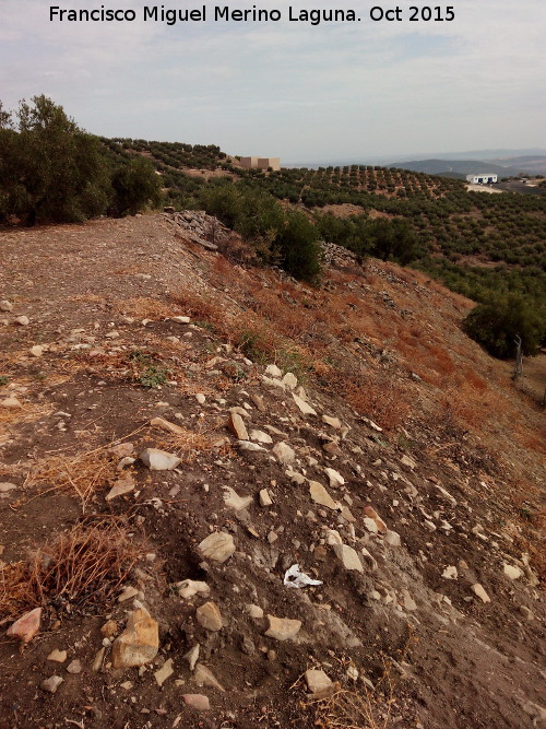 Torreparedones. Muralla - Torreparedones. Muralla. Muralla sin excavar