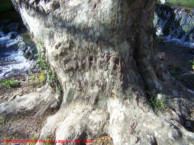 Aldea Mata Bejid - Aldea Mata Bejid. Cicatriz
