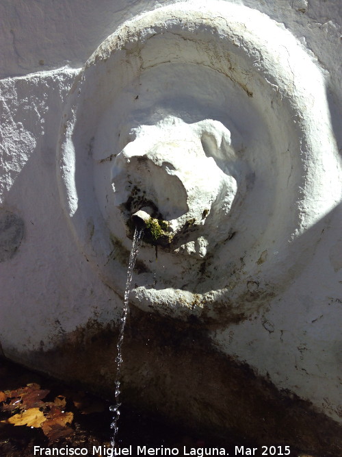 Fuente de los Leones - Fuente de los Leones. Cao