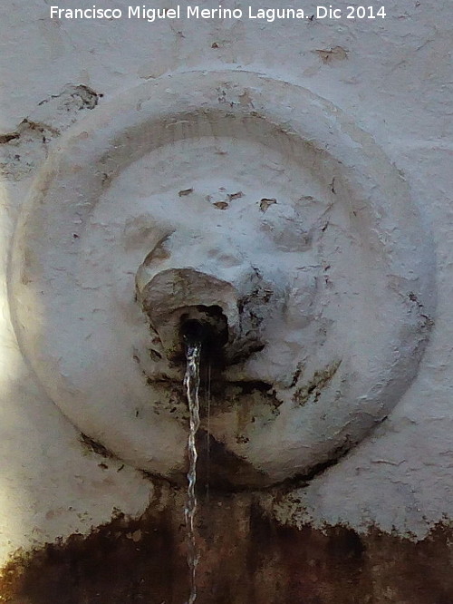 Fuente de los Leones - Fuente de los Leones. Len izquierdo