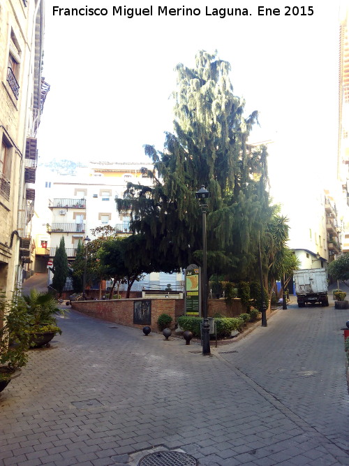 Plaza de San Agustn - Plaza de San Agustn. 