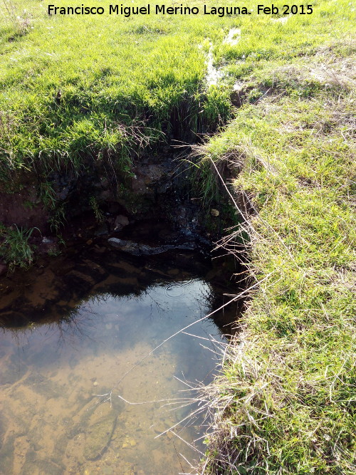 Fuente del Paje - Fuente del Paje. Arroyos