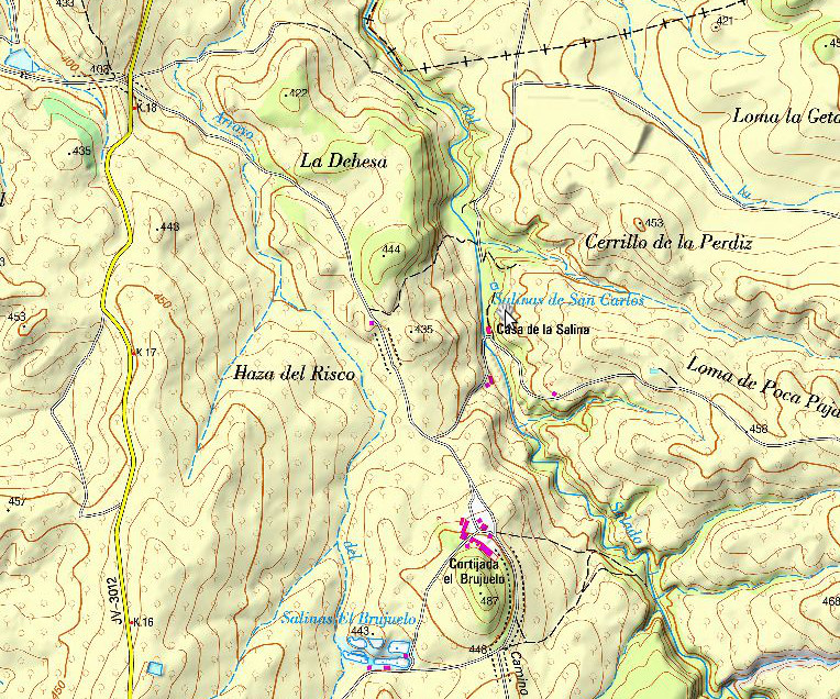 Salinas de San Carlos - Salinas de San Carlos. Mapa