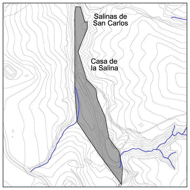 Salinas de San Carlos - Salinas de San Carlos. Situacin