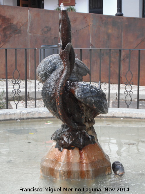 Fuente del Pato - Fuente del Pato. 