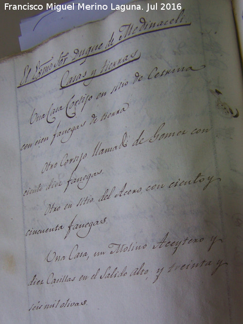 Cortijada Salido Alto - Cortijada Salido Alto. Casas y tierras del Duque de Medinaceli. Catastro 1819