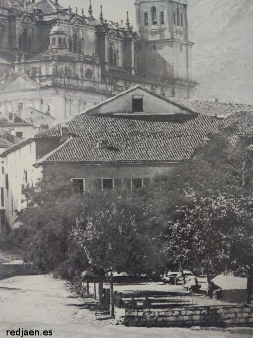 Psito - Psito. 1883 foto realizada por Don Genaro Jimnez